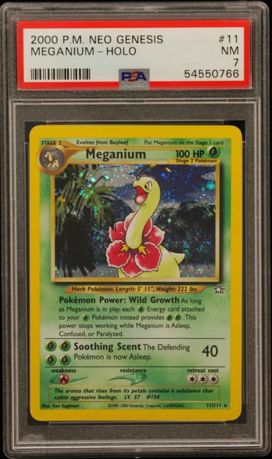 Meganium Holo