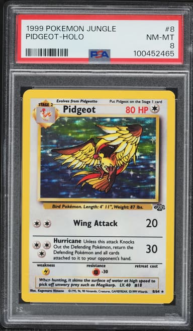 Pidgeot Holo
