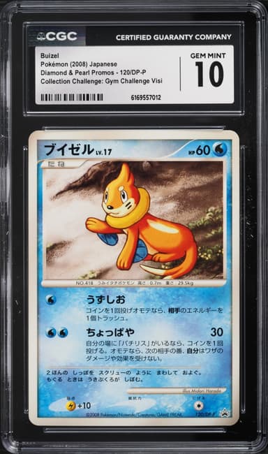 Dp Promo Gym Challenge Visitors Prize Buizel Holo