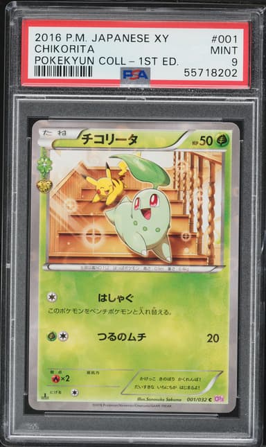 Chikorita 1st Edition
