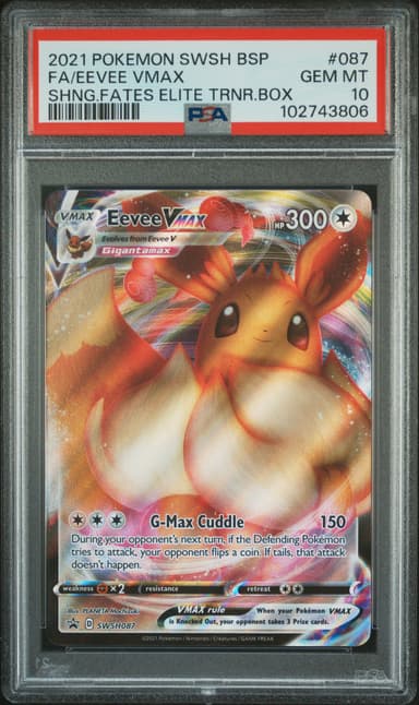 Eevee Vmax Full Art