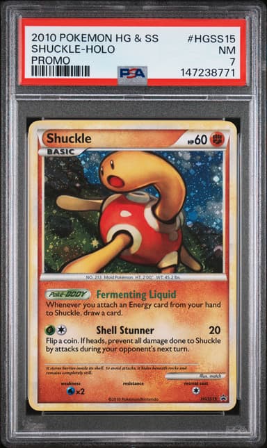 Shuckle Holo