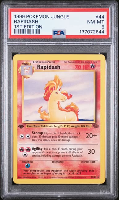 Rapidash 1st Edition