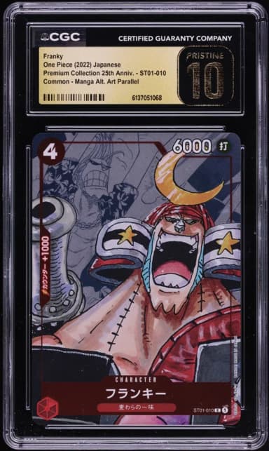 Premium 25th Anniversary Manga Art Franky