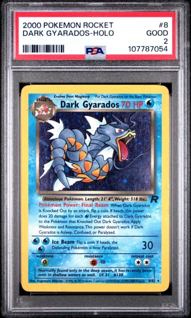 Dark Gyarados Holo